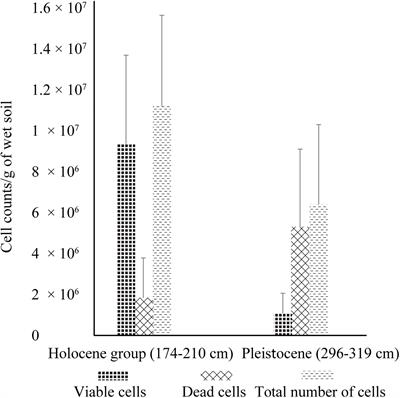 Permafrost Microbial Community Structure Changes Across the Pleistocene-Holocene Boundary